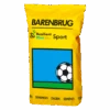 Barenbrug Resilient Blue Sport 15 Kg -Plantenzaden image 10