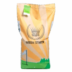 Ten Have Green Star Dijken 1 - 15KG